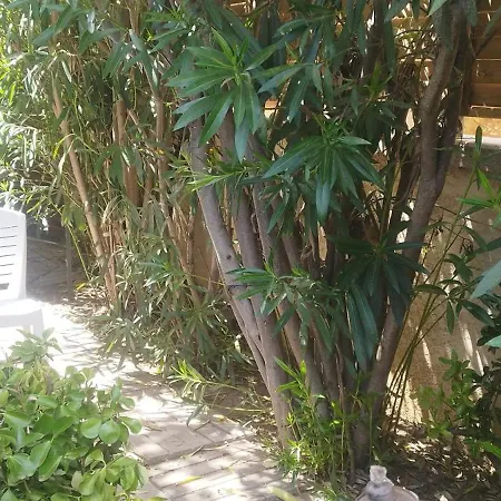 Maison D'exception Meublee Piscine Privee & Cheminee A 2min Et Commerces *